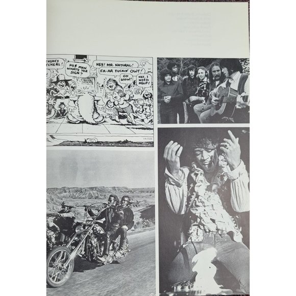 20 Years Rolling Stone Long Strange Trip It's Been Vintage Book Softcover 1987 - Picture 9 of 14